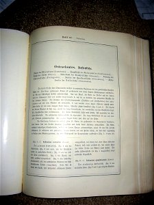 Haeckel Ostraciontes text1