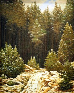 Friedich C. D. Early Snow@Kunsthalle Hamburg