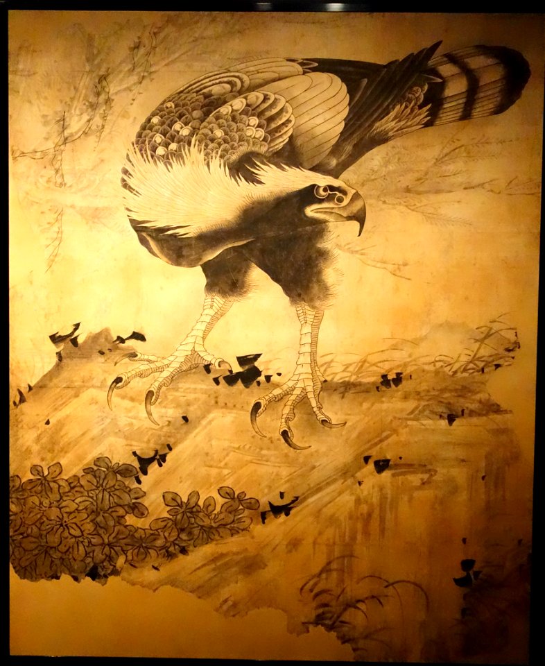 Hawk by Soga Shohaku - Museum of Fine Arts, Boston - DSC02746
