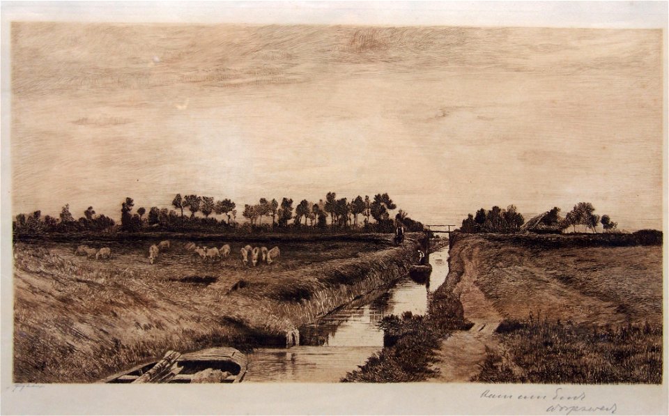 Hans am Ende Sommerabend 01