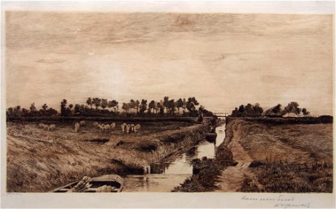 Hans am Ende Sommerabend 01
