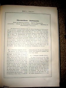 Haeckel Discomedusae 8 text1