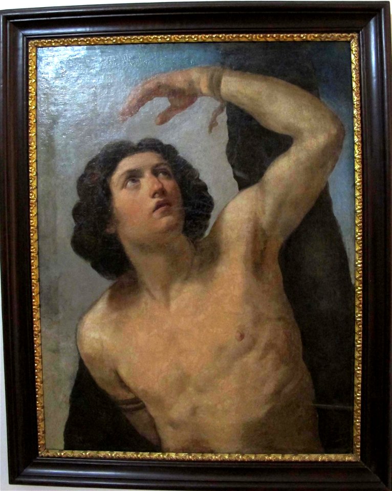 Guido reni (attr.), s. sebastiano, 02