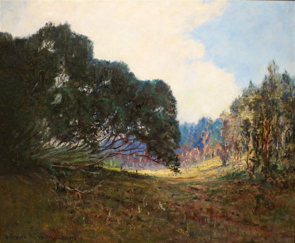 'Kokee Trees, Kauai' by D. Howard Hitchcock, 1913, oil on canvas, Hawaii State Art Museum