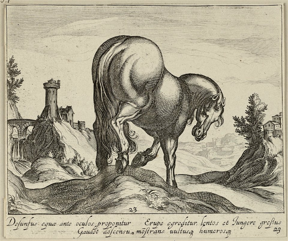 Heuvelachtig landschap met een paard op een heuvel, naar rechts gewend, op de rug gezien. Op de achtergrond een aquaduct. NL-HlmNHA 1477 53011517