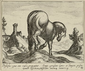 Heuvelachtig landschap met een paard op een heuvel, naar rechts gewend, op de rug gezien. Op de achtergrond een aquaduct. NL-HlmNHA 1477 53011517