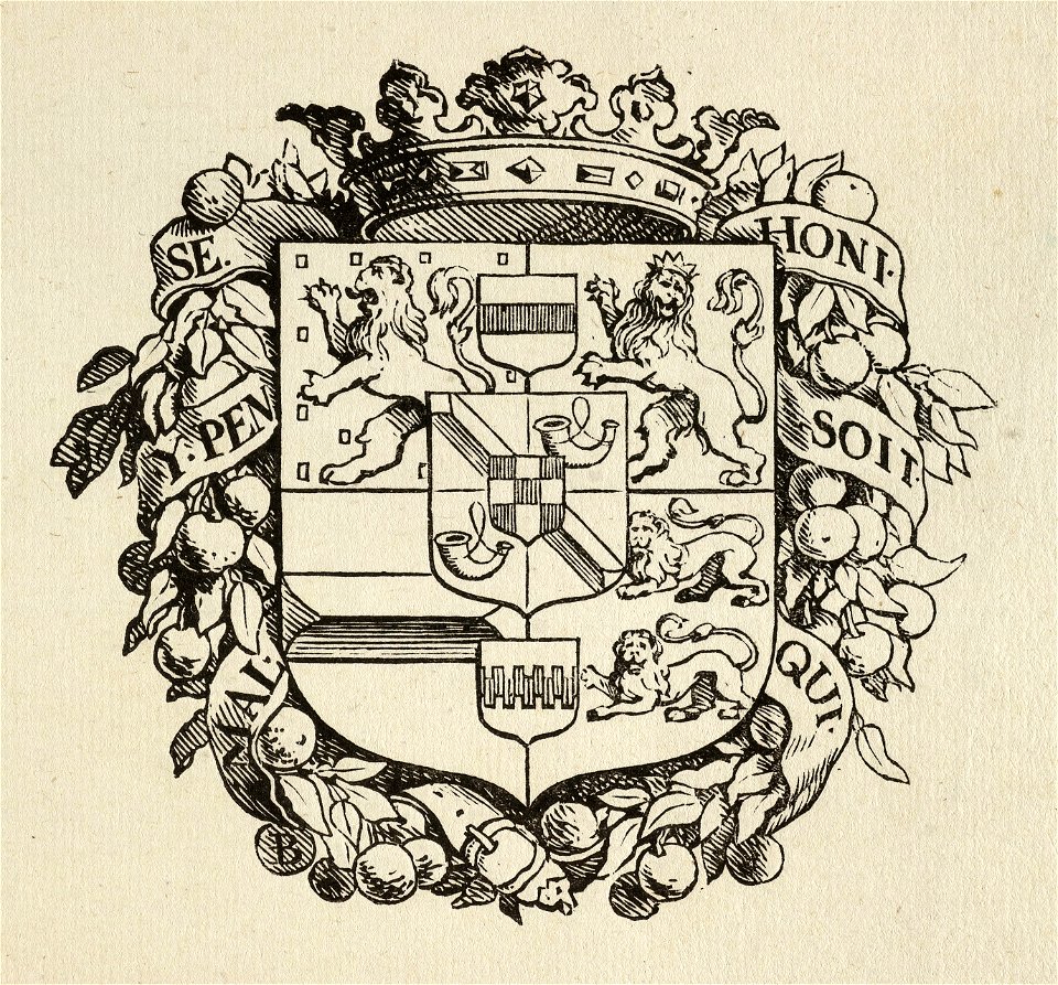 Het familie wapen van het Huis van Oranje - Nassau, gedekt door een kroon, omgeven door een floraal festoen met oranjeappels. Door de festoen gevlochten de Engelse orde van de kousenband met, NL-HlmNHA 1477 53010257