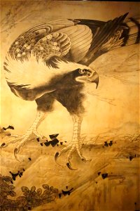 Hawk by Soga Shohaku - Museum of Fine Arts, Boston - DSC02748