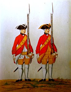 Kurhannoversche Landregimenter von 1768 Gmundener Prachtwerk