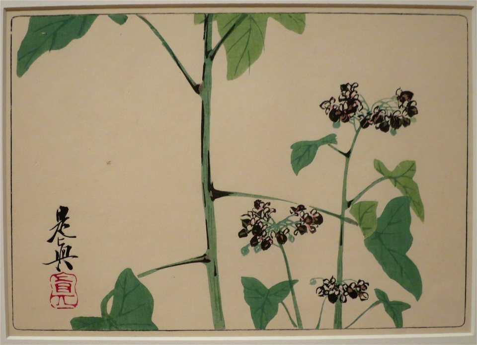 Hydrangae by Shibata Zeshin from Comparing Flowers, Volume 6