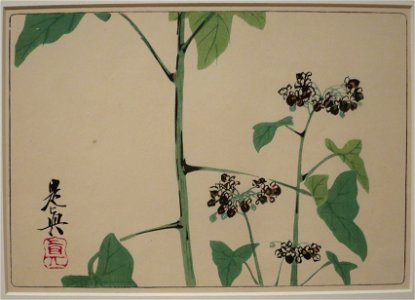 Hydrangae by Shibata Zeshin from Comparing Flowers, Volume 6