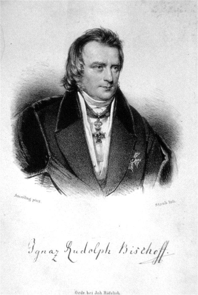 Ignaz Rudolf Bischoff Litho