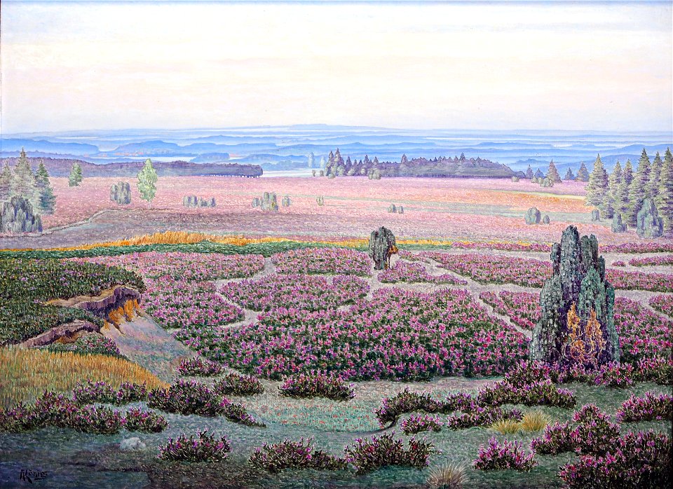 König A.-Große Heidelandschaft