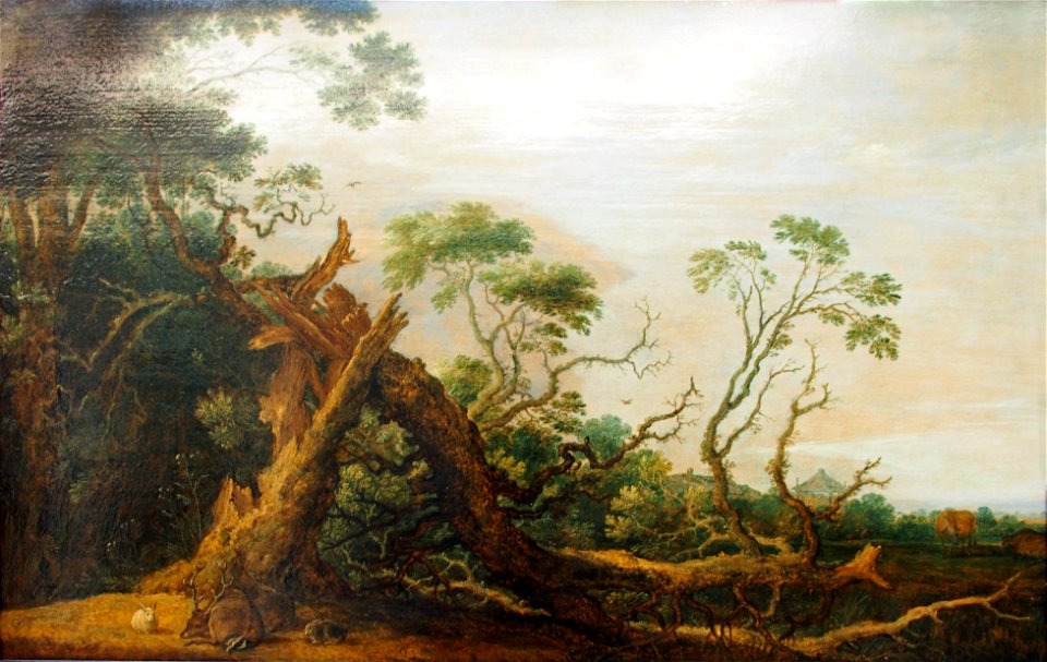 Hondecoeter Eiche 01