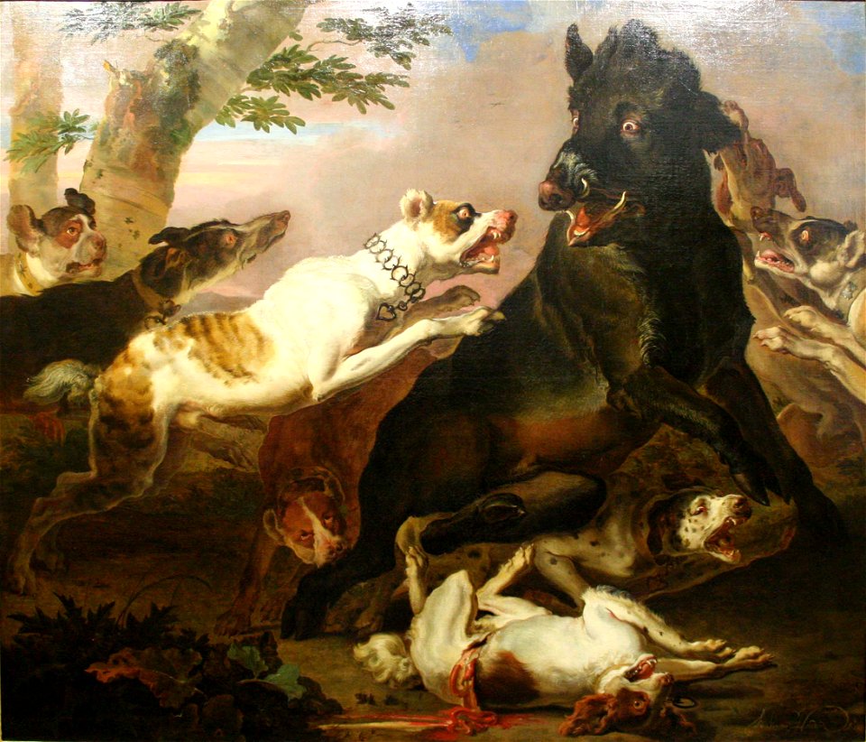 Hondius-Chasse-au-sanglier