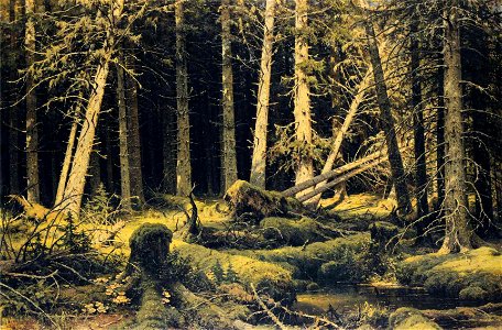 Ivan Shishkin - Wind-Fallen Trees