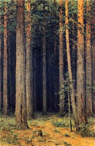 Ivan Shishkin - Forest Reserve, Pine Grove