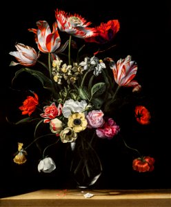 Jean-Michel Picart - Still Life with Tulips Daffodils, Carnations, Poppies and other Flowers in a Glass Vase. Free illustration for personal and commercial use.