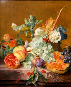Hujsum-Nature-morte-aux-fruits