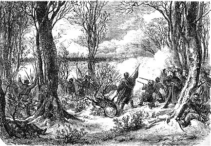 In the forests near Radom (January Uprising)