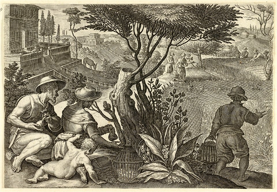 Jacht op patrijzen. NL-HlmNHA 1477 53008398