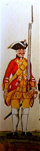 Kurhannoversches Infanterieregiment No. 5 A Gmundener Prachtwerk