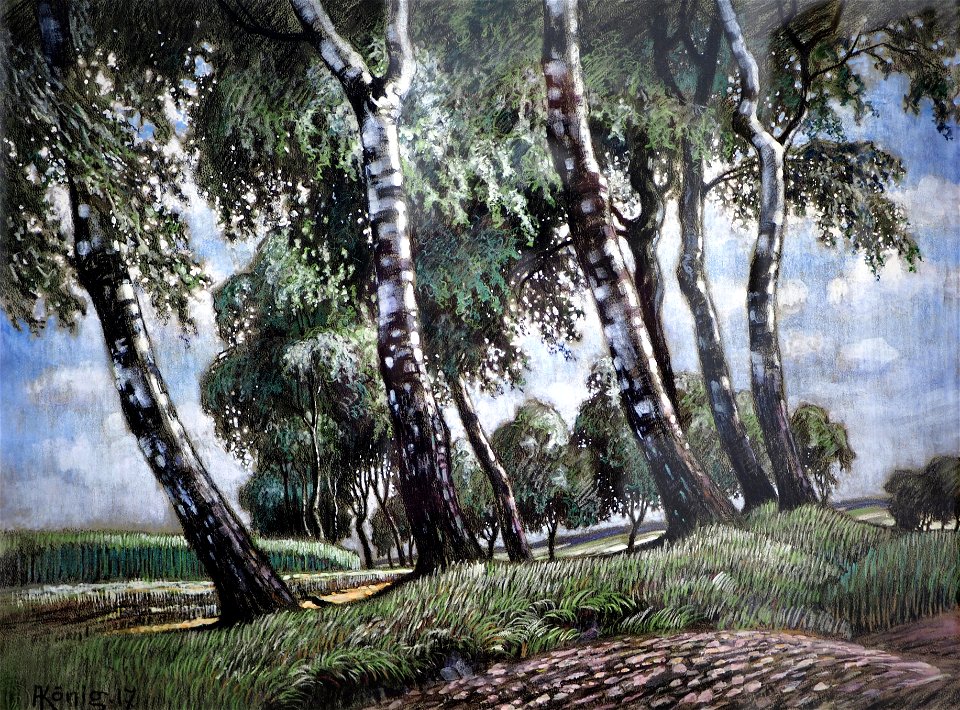 König A.-Birken a Feldrain