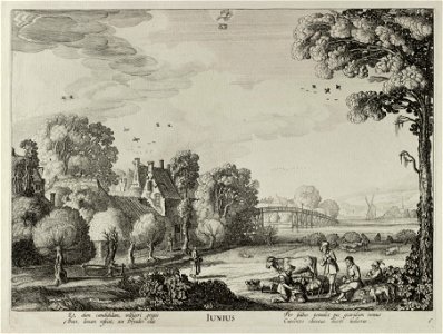 Juni (Iunius). NL-HlmNHA 53012339
