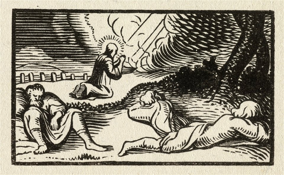 Jezus en de apostelen te Getsemane Matteüs 2636-56 Marcus 1432-52. NL-HlmNHA 1477 53010165