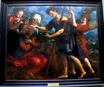 Jan sanders van hemessen, tobiolo con l'aiuto dell'arcangelòo raffaele ridà la vista al padre, 1555
