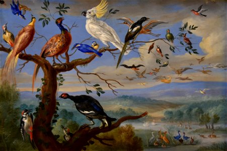 Jan van Kessel (1626-1679) Exotische vogels Brafa 2019 31-01-2019