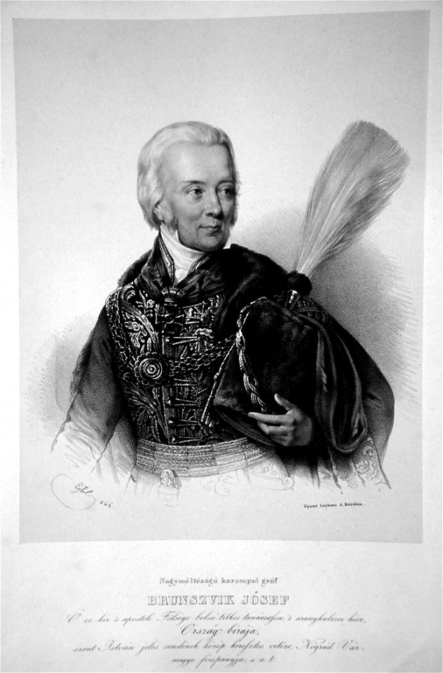 Josef Brunswik Litho
