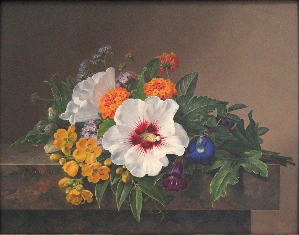Jensen-Fleurs