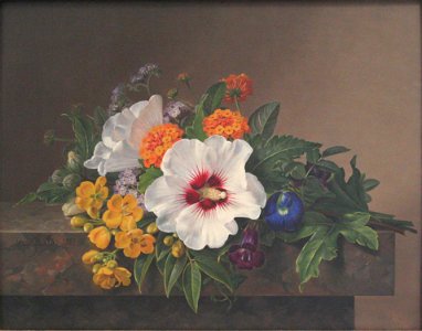 Jensen-Fleurs