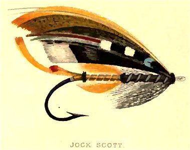 JockScott-TheSalmonFly. Free illustration for personal and commercial use.