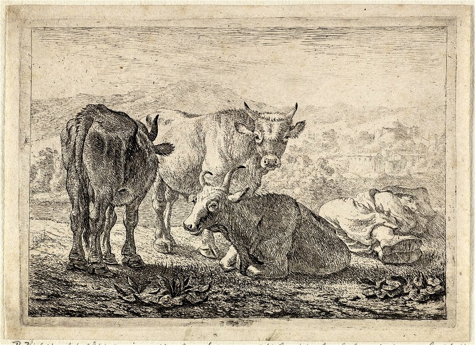 Drie runderen en een slapende herder. NL-HlmNHA 1477 53009534