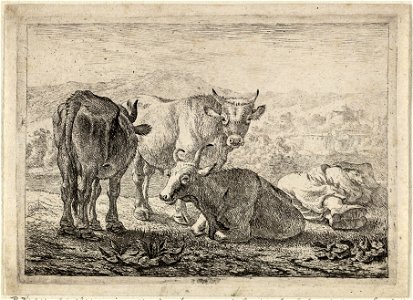 Drie runderen en een slapende herder. NL-HlmNHA 1477 53009534