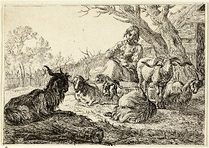 Herderin te midden van geiten en schapen. NL-HlmNHA 1477 53009538