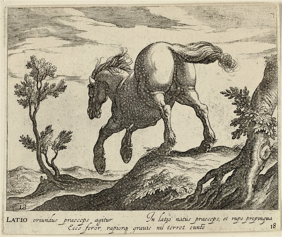 Landschap met paard uit Lazio. NL-HlmNHA 1477 53011509