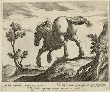 Landschap met paard uit Lazio. NL-HlmNHA 1477 53011509