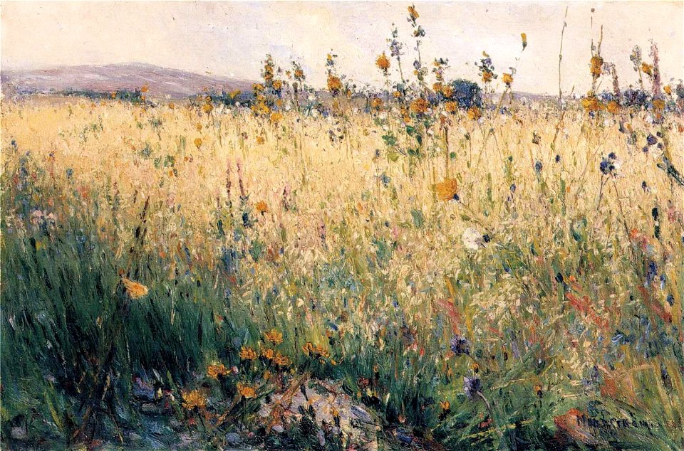 Karl Nordström - Oat Field, Lyrön