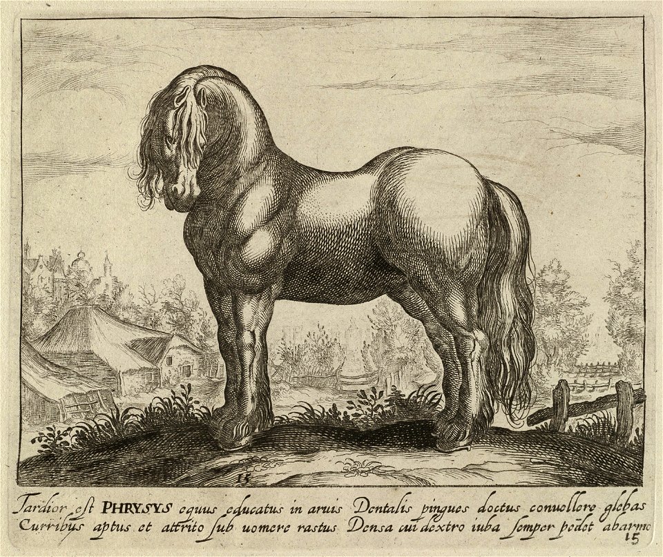 Landschap met paard uit Friesland. NL-HlmNHA 1477 53011510