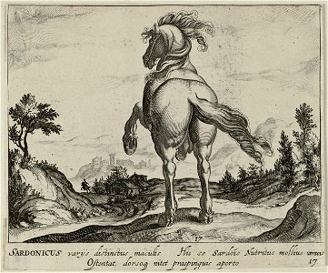 Landschap met paard uit Sardinië. NL-HlmNHA 1477 53011508