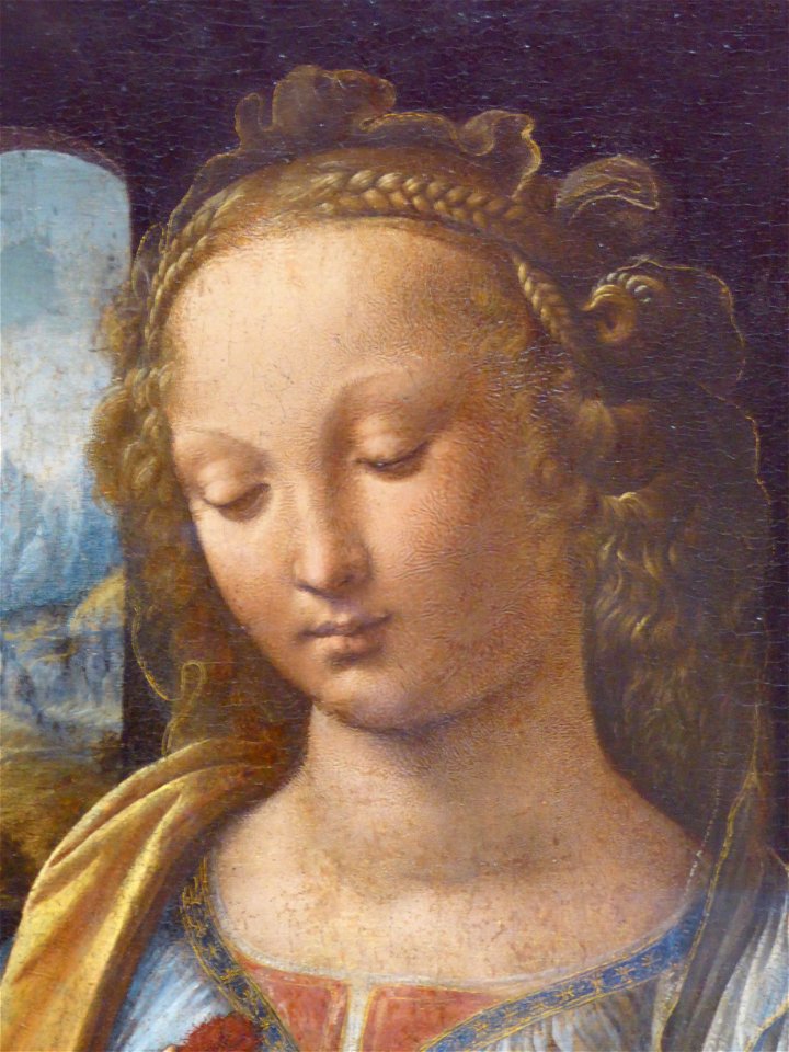 Leonardo da Vinci — Madonna with clove — detail of Madonna - Free Stock ...