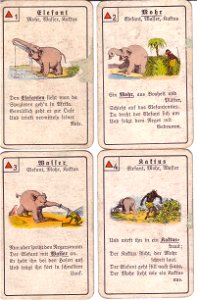 Karten-WBusch-3