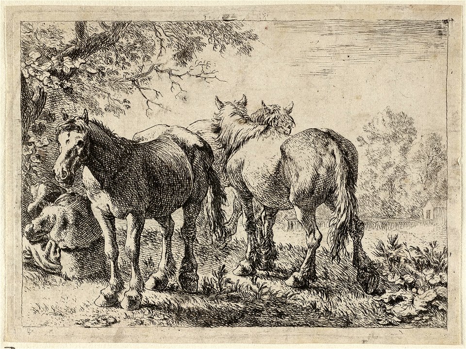 Drie paarden en een boer. NL-HlmNHA 1477 53009533