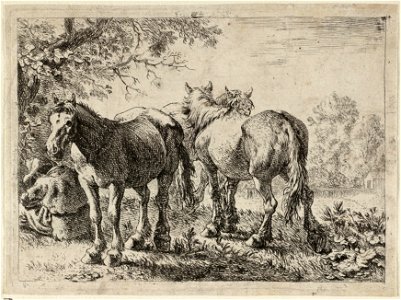 Drie paarden en een boer. NL-HlmNHA 1477 53009533