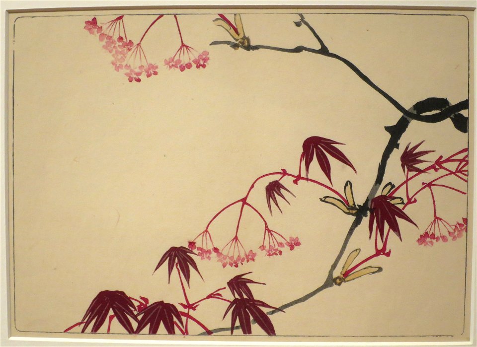 Maples by Shibata Zeshin from Comparing Flowers, Volume 6