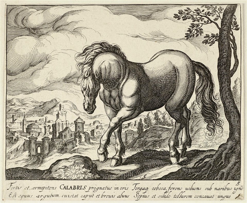 Landschap met paard uit Calabrië. NL-HlmNHA 1477 53011498