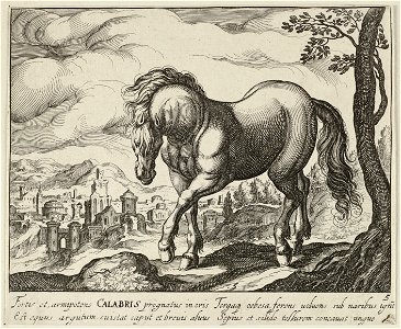 Landschap met paard uit Calabrië. NL-HlmNHA 1477 53011498